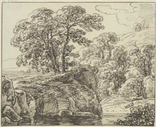 Felslandschaft mit großen Bäumen