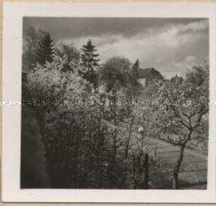 Saarpfalz