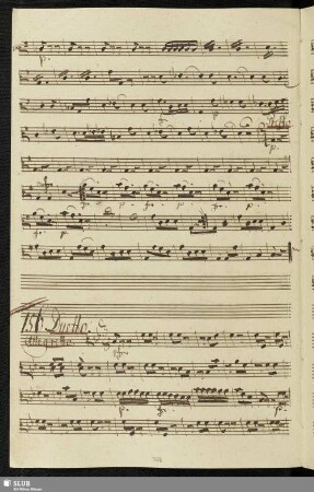 156. Duetto: Bella cosa è il vedere / Gassmann, F. L.