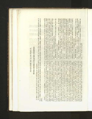Pl. 11.