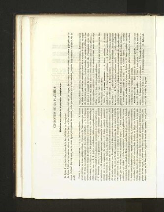 Pl. 11.
