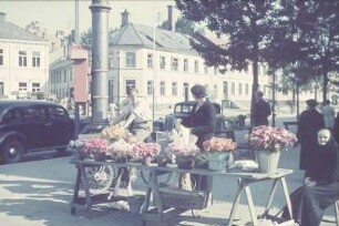 Reisefotos. Blumenstand