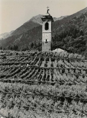 Weinberg mit Kirche