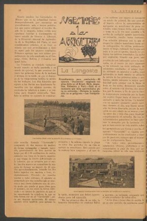 Sugestiones a los agricultores : La langosta