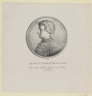 Bildnis des Amedeo VI.