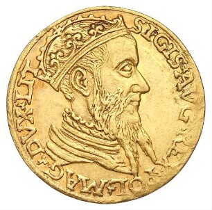 Litauen: Sigismund II. August
