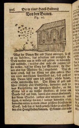 306-322, Von den Bienen. - Von den Seiden-Würmern.