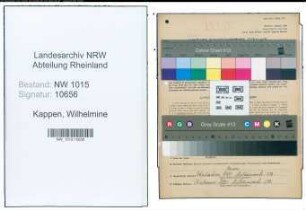 Entnazifizierung Wilhelmine Kappen , geb. 29.12.1893 ()