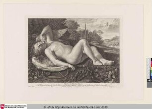 Cupid in the Island of Cyprus