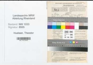 Entnazifizierung Theodor Huelsen , geb. 09.06.1901 ()