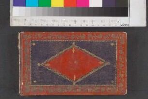 [Stammbuch Luise Henriette Wolff]