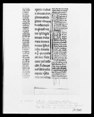 Petrus Lombardus, Commentarius in epistolas Sanct Pauli: Initialen P