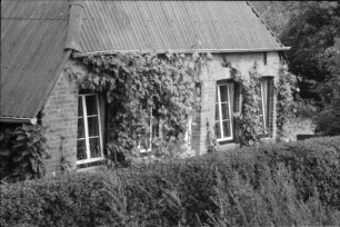 Heidberg: Hausgiebel mit Kletterpflanzen: davor Hecke