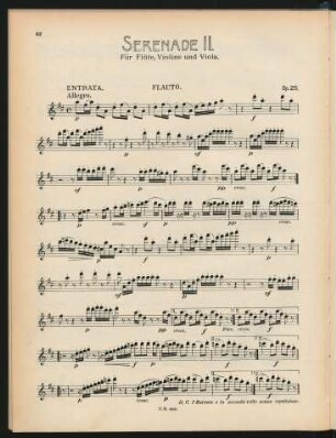Violoncello op. 25