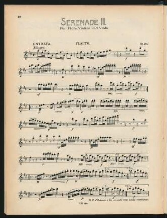 Violoncello op. 25