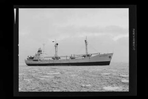 Cap Castillo (1958), Frachtschiff (reefer), Hamburg Südamerikanische Dampfschifffahrts-Gesellschaft A/S & Co KG (HSDG), Antwerpen, Bau-Nr. 316