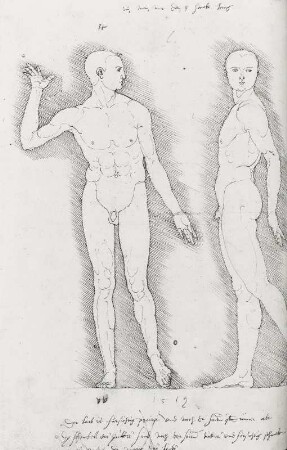 Blatt 109v: Zwei Studien zu den Proportionen männlicher Figuren