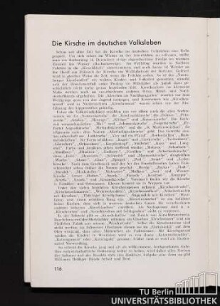 Die Kirsche im deutschen Volksleben