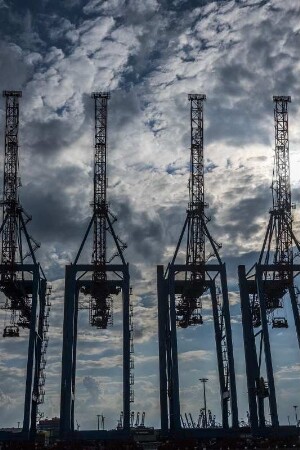 Hamburger Hafen, Blcik von Steinwerder auf Container-Kräne in Waltershof