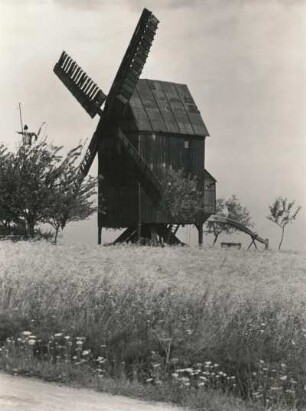 Mutzschen-Göttwitz. Bockwindmühle (1839)