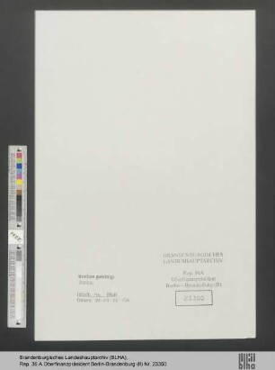 Liebmann, Pauline