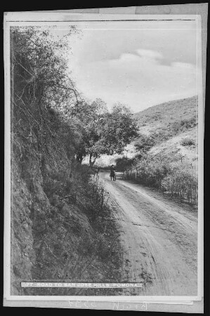 Road to San Jose Hills Pomona, Cal.