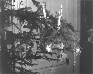 Weihnachten. Zweig eines Weihnachtsbaumes mit Kerzen und verschiedenen Sternen