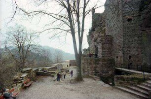 Fleckenstein: Burgruine Fleckenstein, Baum rechts, Treppenaufgang
