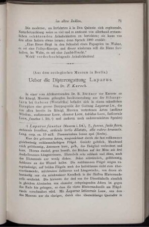 Ueber die Dipterengattung Laparus.