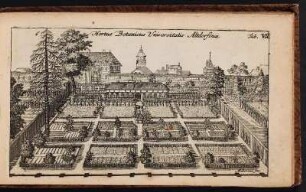 Hortus Botanicus Universitatis Altdorfinæ. - Universität Altdorf, Hortus medicus