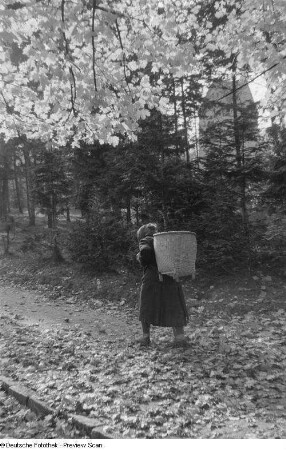 Frau mit einem Korb auf dem Rücken