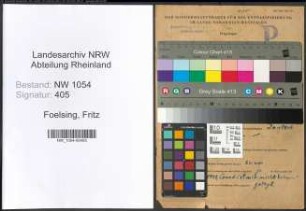 Entnazifizierung Fritz Foelsing , geb. 26.07.1906 (Zollsekretaer)