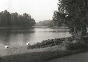 Oranienbaum-Wörlitz, Wörlitzer Park. Blick von Schochs Garten über den See zur Teelaubenfähre