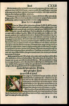 Der prophet Joel