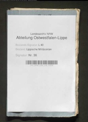 Vereidigung der Landmiliz