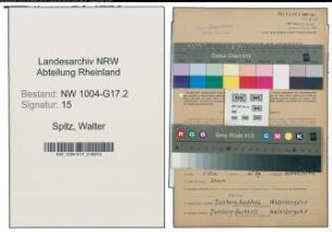 Entnazifizierung Walter Spitz , geb. 25.12.1896 (Angestellter)