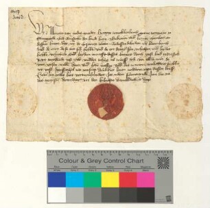 Geleitbrief des Herzogs Albrecht zu Meklenborg für die Lüneburger Ratssendeboten und deren Begleitung nach und von Rozstock.