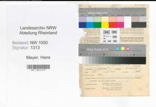 Entnazifizierung Hans Mayer , geb. 06.03.1881 (Direktor)