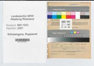 Entnazifizierung Rupprecht Schroemgens , geb. 23.05.1902 (Versicherungskaufmann)
