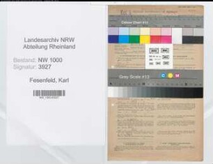 Entnazifizierung Karl Fesenfeld, geb. 10.01.1897 (Verw.Beamter)