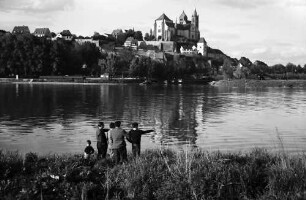 Breisach: Rhein mit Münster vom elsässischen Ufer