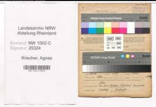 Entnazifizierung Agnes Krischer, geb. 02.04.1881 (Kauffrau)