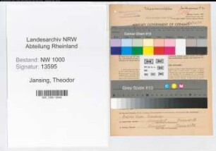 Entnazifizierung Theodor Jansing, geb. 19.09.1909 (Werkfuehrer)