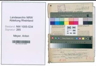 Entnazifizierung Anton Meyer , geb. 18.03.1880 (Arzt)