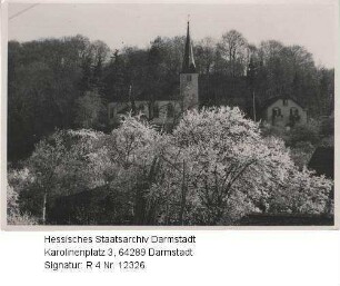 Jugenheim an der Bergstraße, Evangelische Kirche / im Vordergrund: blühende Obstbäume