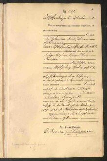 Standesamtsbuch der Stadt Aschaffenburg: Geburten 365/1900 - 184/1901