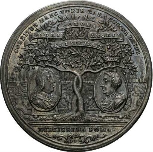 Medaille auf das fünfzigjährige Amtsjubiläum und die Goldene Hochzeit von Johann Lorenz von Jemgumer-Kloster, 1748