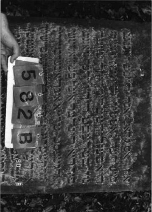 Grabstein 582 (Index: 99790959) Maße HxBxT: 164x71xo.A. cm Symbolik: zwei ineinander veschlungene Hände: Grabstein 582B