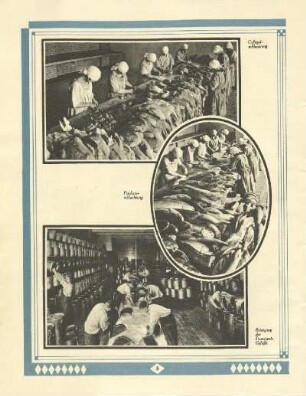 Geflügelschlachtung ; Fischhausschlachtung ; Reinigung der Transport-Gefäße