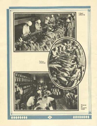 Geflügelschlachtung ; Fischhausschlachtung ; Reinigung der Transport-Gefäße